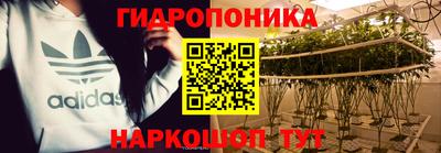 гашиш Новозыбков