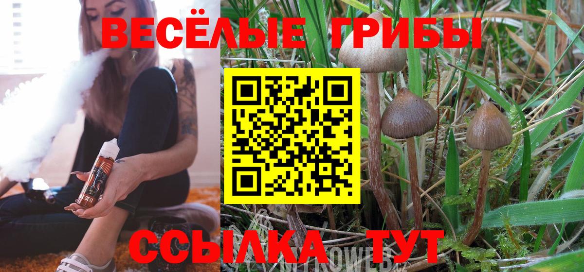 Сланцы  Псилоцибиновые грибы Magic Shrooms  Вход с VPN 
